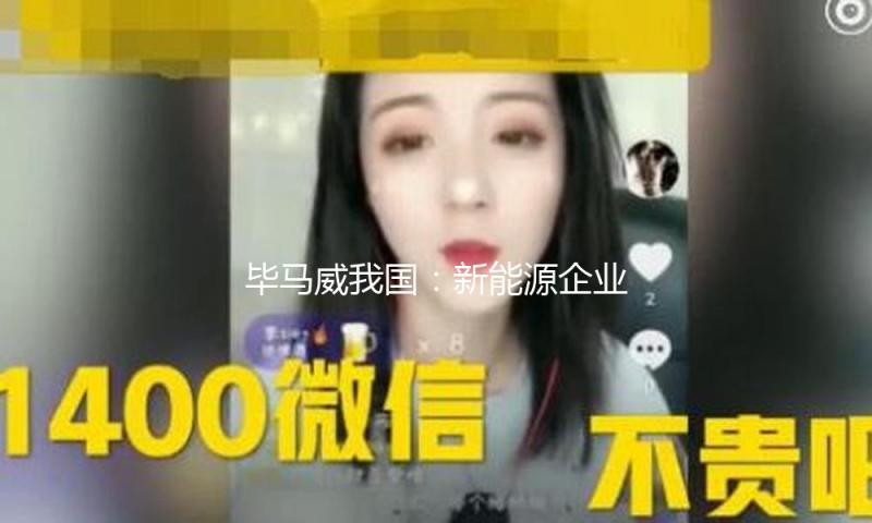 毕马威我国：新能源企业出海带来的机会仍旧不容小觑 — 新京报