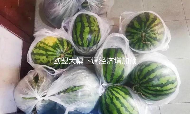 欧盟大幅下调经济增加预期