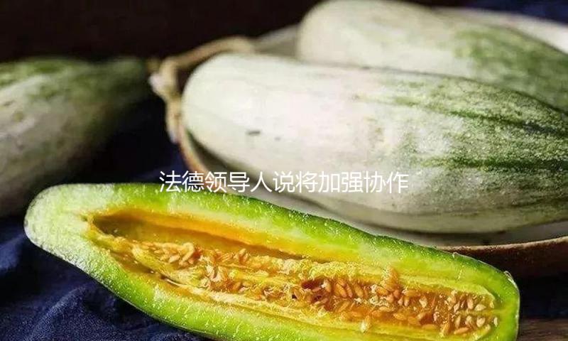 法德领导人说将加强协作一起应对欧洲面对的应战