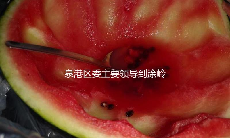 泉港区委主要领导到涂岭镇、界山镇调研一季度“开门红”及2025年重点工作
