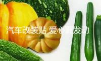 汽車(chē)改裝貼 愛(ài)心翼發(fā)動(dòng)機(jī)蓋貼花 裝飾引擎蓋拉花貼紙個(gè)性車(chē)頭車(chē)貼