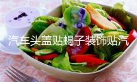 汽車頭蓋貼蝎子裝飾貼汽車貼紙機(jī)蓋貼拉花蝎子改裝刮痕車身貼紙