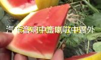 汽車音響中音喇叭中置外置家用環繞前后雙喇叭2.5寸中音喇叭改裝