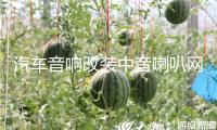 汽車音響改裝中音喇叭網(wǎng)罩3.5寸6.5寸鋁合金低音網(wǎng)罩裝飾保護罩
