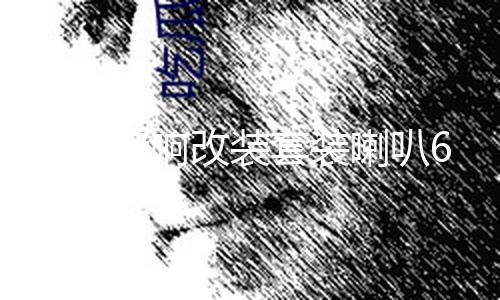 【ZZTTWIN668SU】