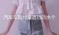 汽車車貼劃痕遮擋防水個性車身貼紙搞笑創意卡通裝飾貼畫車門車尾