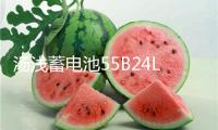 湯淺蓄電池55B24LS雅閣CRV思域凌派思鉑睿杰德繽智汽車蓄電瓶45AH