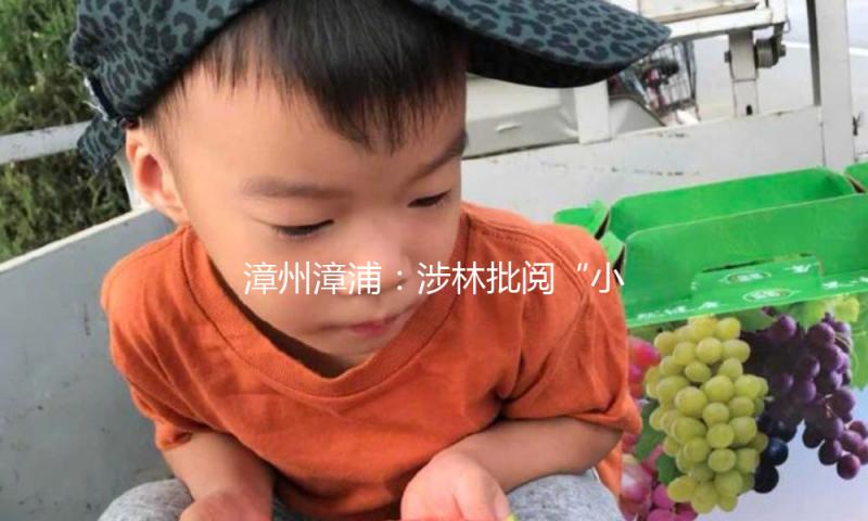 漳州漳浦：涉林批阅“小切断” 营商环境“大提高”