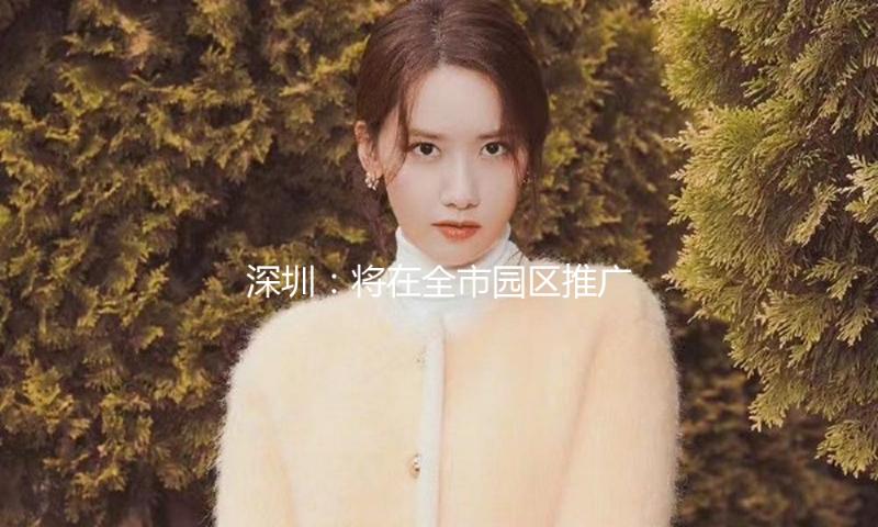深圳：将在全市园区推广“园区贷”