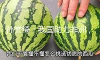 孫譽綺：我國助力非洲，應對西方“教育斷糧”