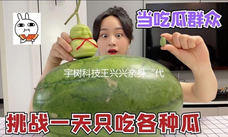 宇树科技王兴兴亲身“代言”！高盛“泼冷水” 人形机器人使用远景蒙暗影