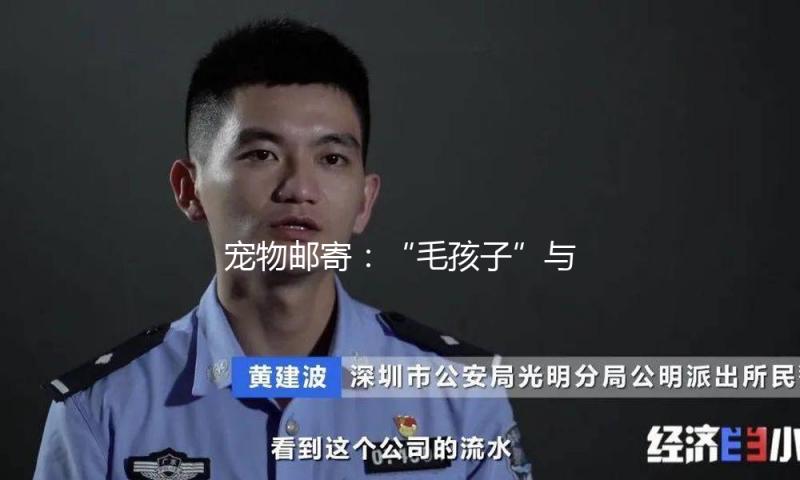 宠物邮寄：“毛孩子”与旅客同行的快捷与应战