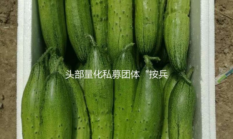 头部量化私募团体“按兵不动”据守持仓