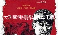 大功率純銅貨車汽車電瓶充電器12V24V伏充滿自動停全智能通用型水