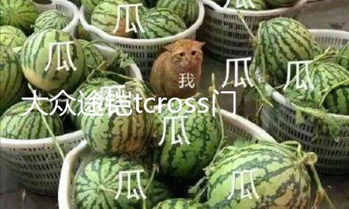 【今日看料每日一抓第五期】