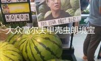 大眾高爾夫甲殼蟲朗境寶來途安尚酷原裝電瓶瓦爾塔60安汽車蓄電池