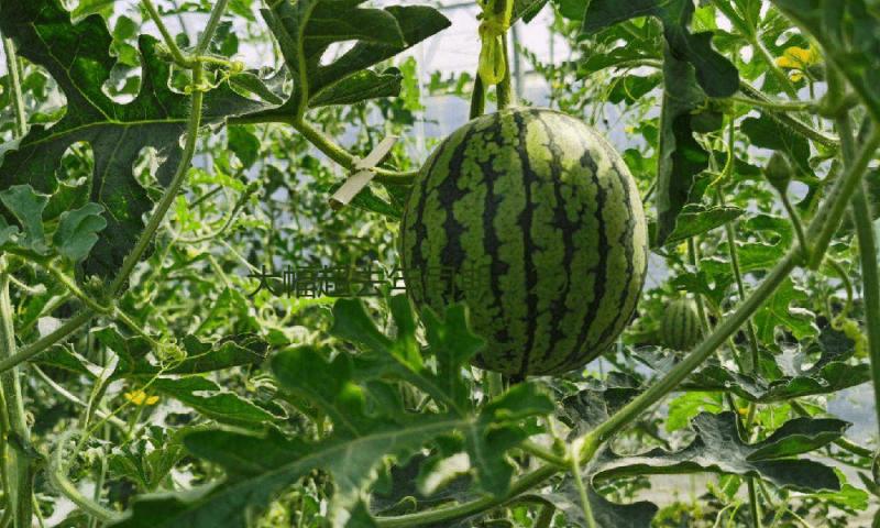 大幅超去年同期，2025端午档电影票房破3亿