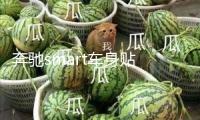 奔馳smart車身貼 拉花 改裝專用車貼紙 整車貼 汽車貼紙 包郵