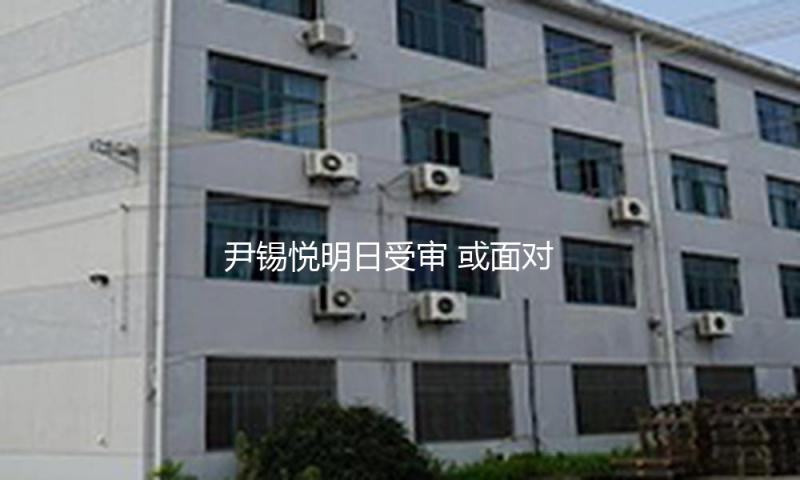 尹锡悦明日受审 或面对终身拘禁乃至死刑 — 新京报