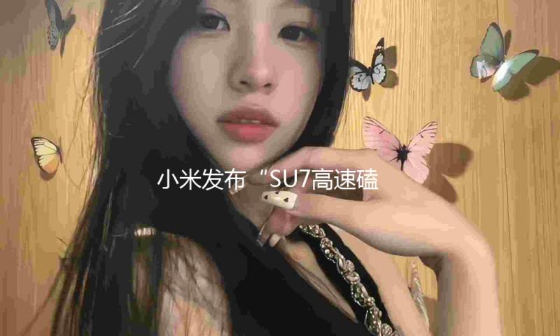 小米发布“SU7高速磕碰事端”细节 — 新京报