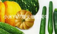 小米YU7爆火催生黃牛：最高溢價(jià)2萬(wàn)元！“最長(zhǎng)要等57周”！雷軍：不會(huì)自鳴得意 會(huì)持續(xù)謹(jǐn)言慎行