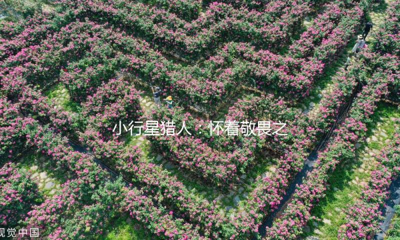 小行星猎人：怀着敬畏之情仰视星空 — 新京报