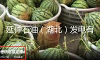 延伸石油（湖北）發電有限公司被罰35萬，未按規則處理工程質量監督手續
