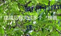建成后將完成多個“榜首”，我國兩臺太陽系天體觀測望遠鏡開建