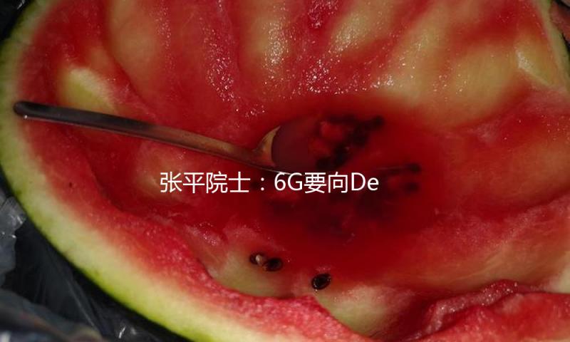 张平院士：6G要向DeepSeek学习，从企业需求动身做立异 — 新京报