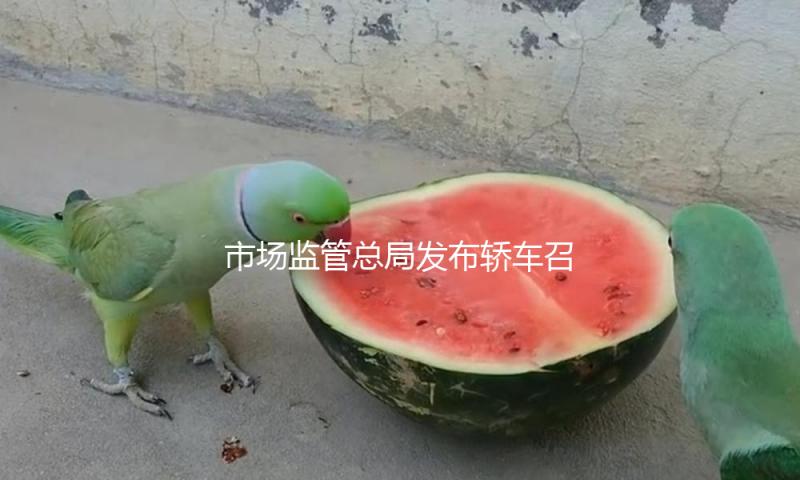 市场监管总局发布轿车召回用户孤寂