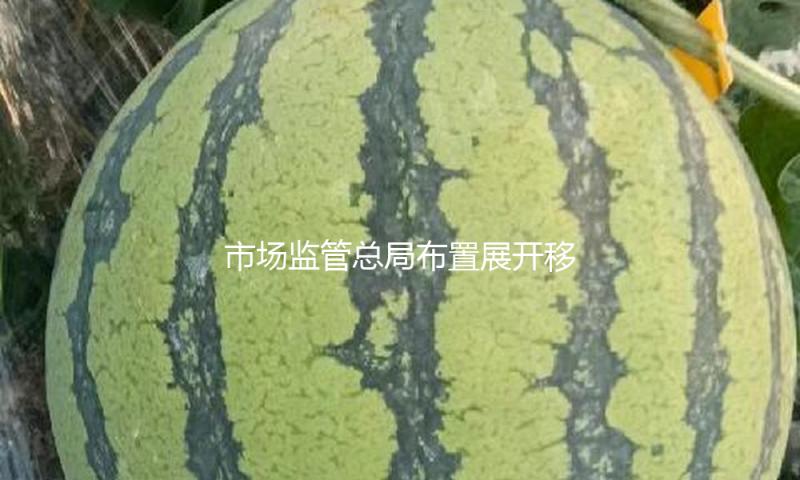 市场监管总局布置展开移动式大型游乐设备专项整治 — 新京报