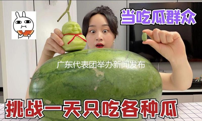 广东代表团举办新闻发布会 到昨日代表拟提出3件方案337件主张