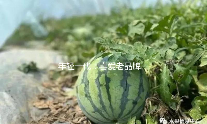 年轻一代：喜爱老品牌 爱上“新国潮”