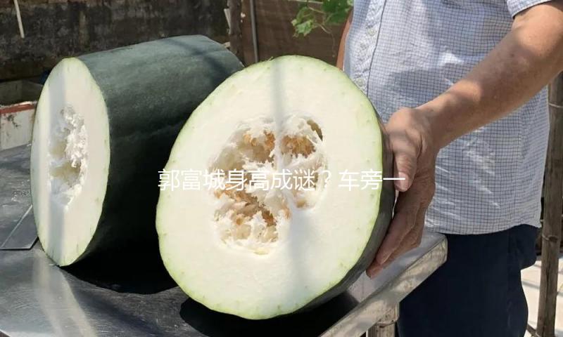 郭富城身高成谜？车旁一站居然还没车高，网友：知道实在身高了吧