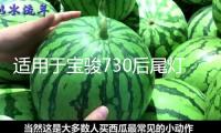 適用于寶駿730后尾燈總成14-21款轉向剎車燈后組合燈倒車燈罩改裝