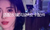 適配長城風(fēng)駿7皮卡配件新款汽車后尾燈總成組合燈倒車燈剎車燈泡