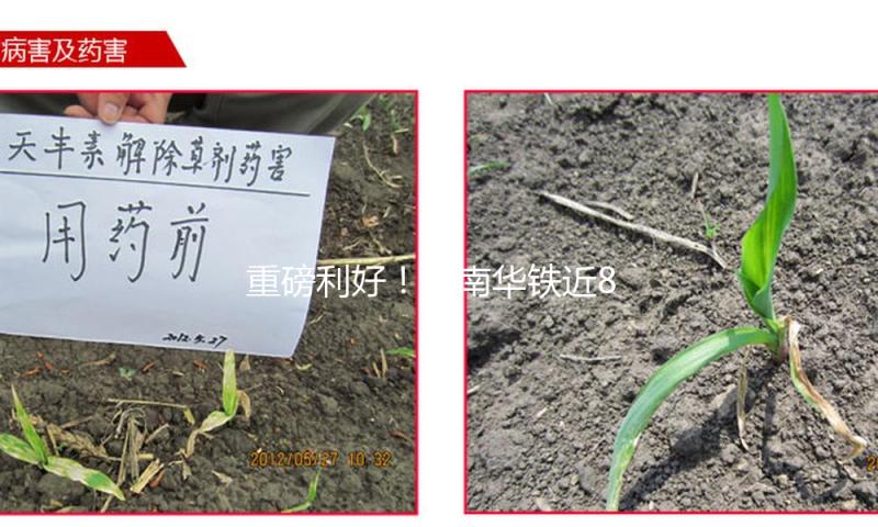 重磅利好！海南华铁近804万手封涨停