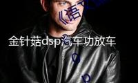 金針菇dsp汽車功放車載音頻處理器無損改裝4進(jìn)6出大功率音響低音
