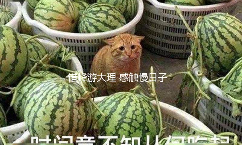错峰游大理 感触慢日子