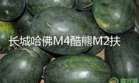 長城哈佛M4酷熊M2扶手箱專用哈弗汽車中央手扶箱內飾改裝配件