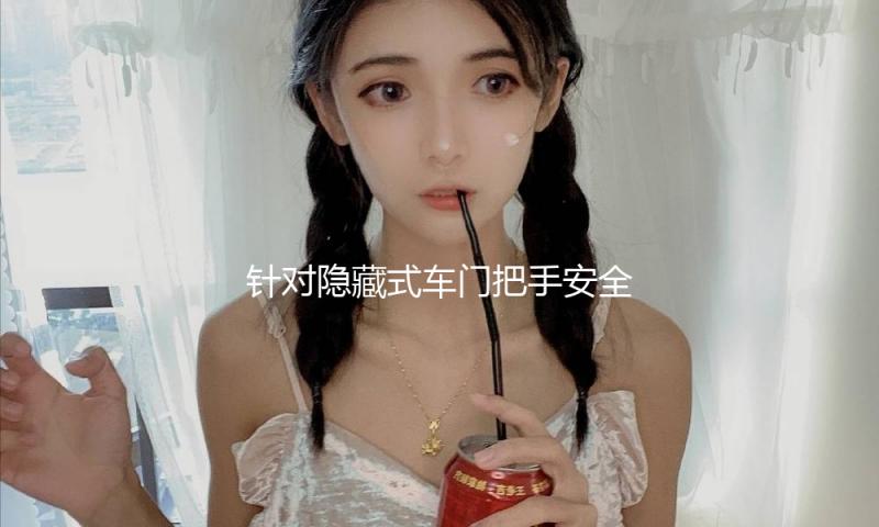 针对隐藏式车门把手安全问题 工信部揭露搜集定见 — 新京报