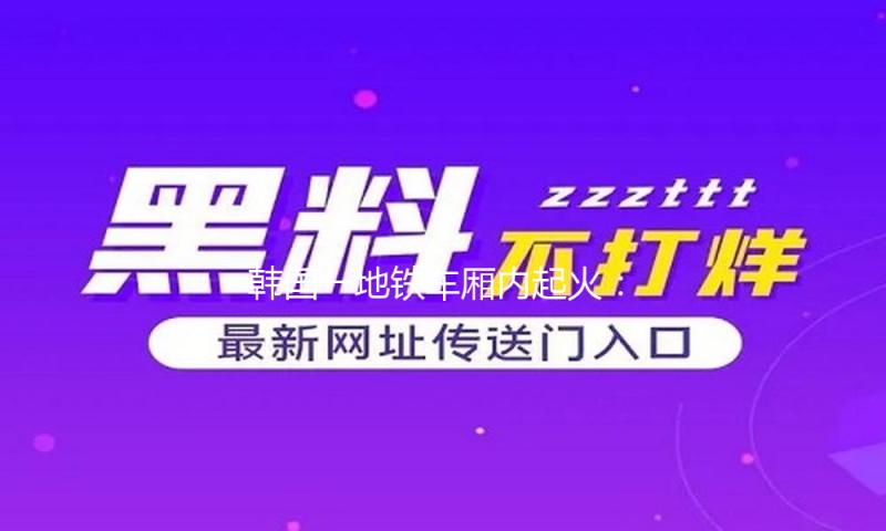 韩国一地铁车厢内起火：纵火嫌疑人被捕获，暂无人员伤亡陈述 — 新京报