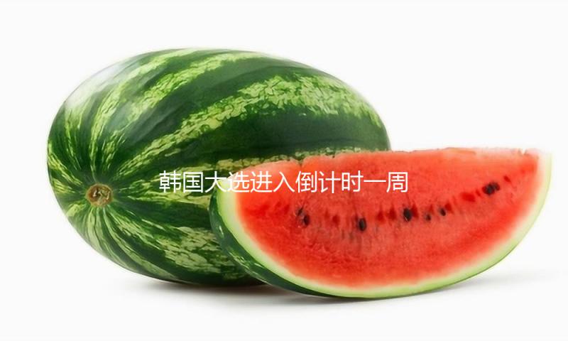 韩国大选进入倒计时一周 “鼎足之势”格式或成定局