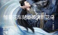 雛菊花車貼唯美清新花朵劃痕遮擋貼車窗車尾貼創(chuàng)意網(wǎng)紅汽車貼紙女