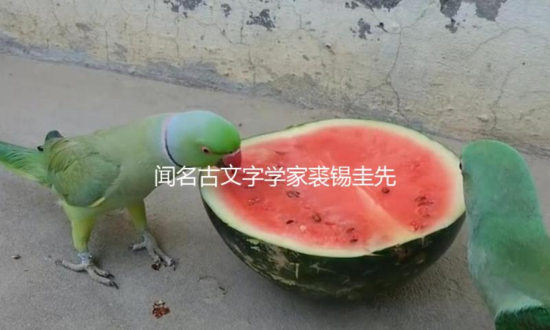 闻名古文字学家裘锡圭先生逝世 享年90岁 — 新京报