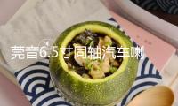 莞音6.5寸同軸汽車喇叭發燒hifi中低音車載汽車音響改裝套裝喇叭