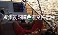 聚集視網膜色素變性醫治新進展，眼科恢復學術論壇舉辦