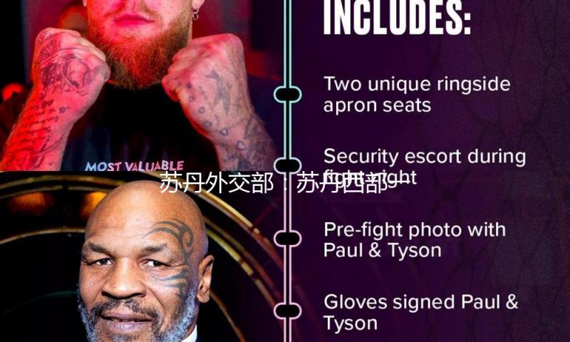 苏丹外交部：苏丹西部一城市约300名布衣遭杀戮