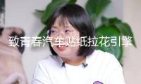 致青春汽車貼紙拉花引擎蓋車門機(jī)蓋貼紙刮痕車頭蓋個性貼
