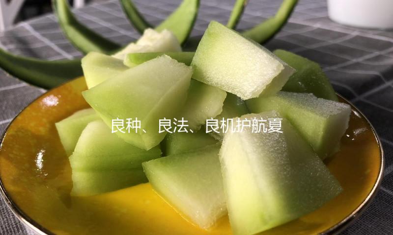 良种、良法、良机护航夏粮丰盈 居民“菜篮子”“果盘子”满满“科技范儿”